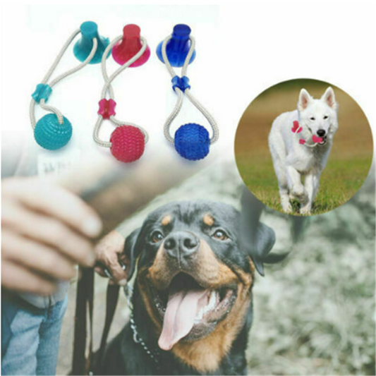 Juguete Mordedor Multiusos para Perros - Limpiador Dental y Masticable