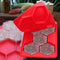 Molde Hexagonal de Silicona para Hamburguesas