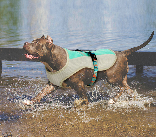 Chaleco Refrigerante para Perros - Ropa Fresca de Verano