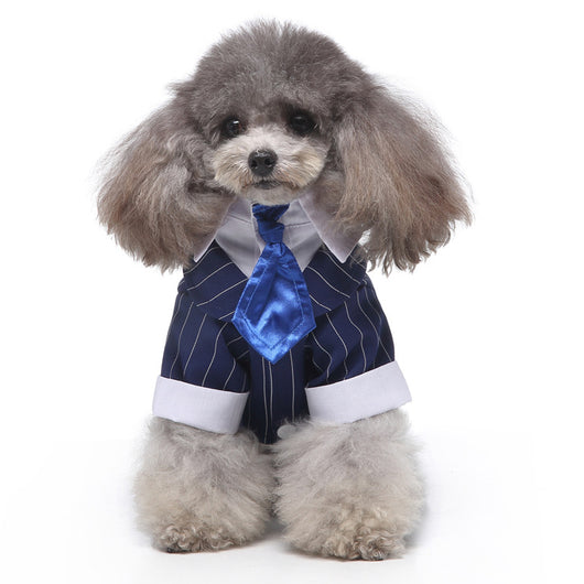 Conjunto de Ropa para Perros - Traje Completo de Moda - Image 32