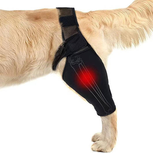 Protector de Patas para Perros con Soporte de Rodilla y Correas Ajustables - Image 7