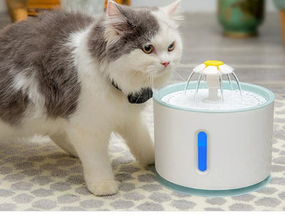 Fuente Automática de Agua para Mascotas con Filtro - Image 11