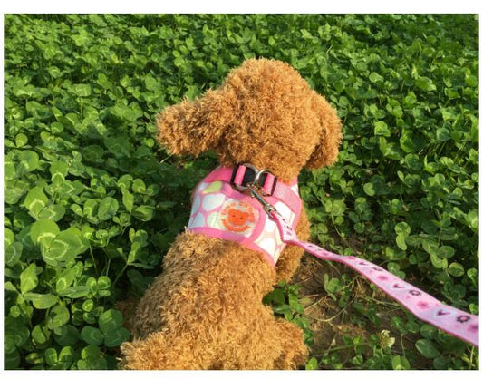 Chaleco de Senderismo para Perros con Protección de Pecho - Image 2