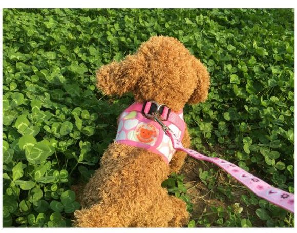 Chaleco de Senderismo para Perros con Protección de Pecho