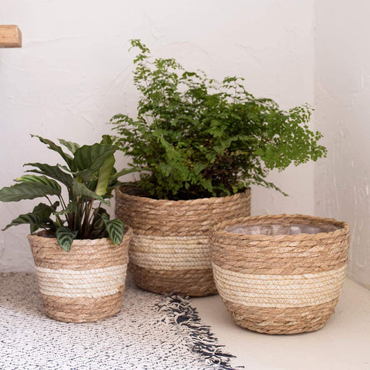 Macetero Tejido de Fibra Natural con Soporte para Plantas