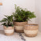 Macetero Tejido de Fibra Natural con Soporte para Plantas