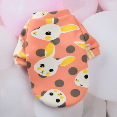 Ropa de Abrigo para Perros Pequeños - Colección Otoño Invierno - Image 19