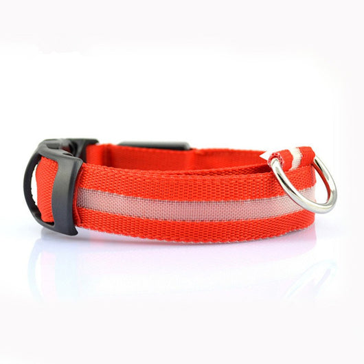 Collar de Seguridad LED para Mascotas - Image 6