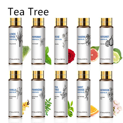 Aceites Esenciales Aromaterápicos 10ml - Lavanda, Rosa y Árbol de Té - Image 19