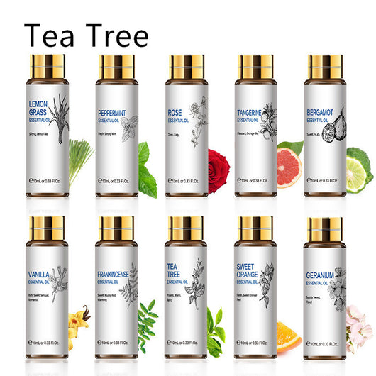 Aceites Esenciales Aromaterápicos 10ml - Lavanda, Rosa y Árbol de Té - Image 19