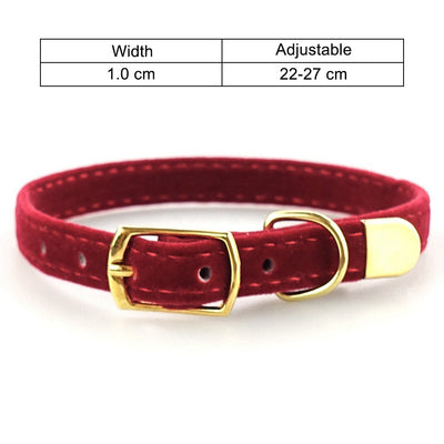 Collar para Gato Premium - Image 7