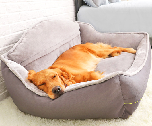 Sofá Cama para Perros Ortopédico - Image 5