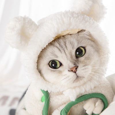 Gorro Disfraz Gatito Osito - Accesorios de Moda Infantil