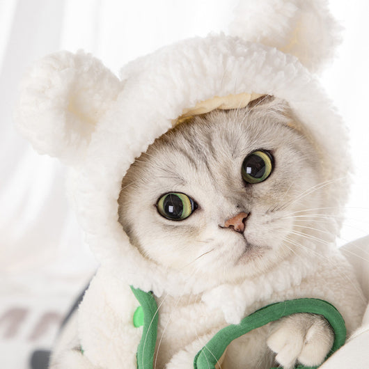 Gorro Disfraz Gatito Osito - Accesorios de Moda Infantil
