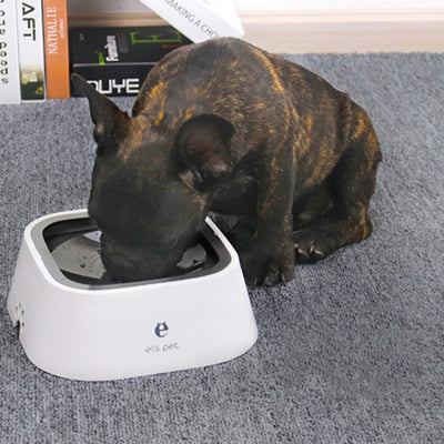 Comedero Flotante Antivuelco para Perros - Sin Derrames