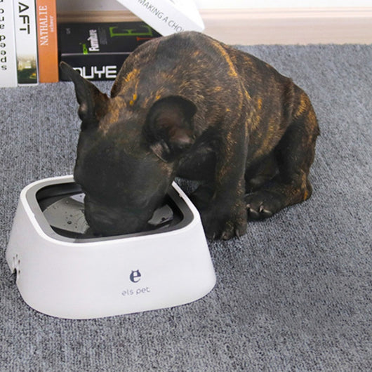 Comedero Flotante Antivuelco para Perros - Sin Derrames