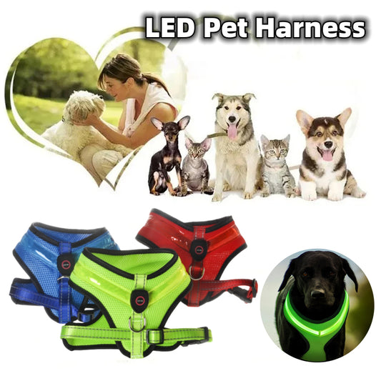 Arnés LED Recargable para Perros con Reflectante de Seguridad