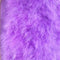 Roxo Toon