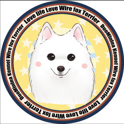Colchoneta Ortopédica para Perros - Image 25