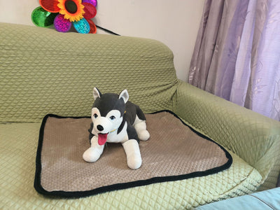 Pañales Absorbentes para Perros - Protección Confiable - Image 5