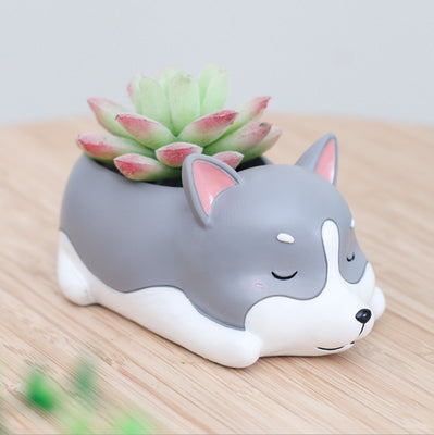 Maceta Decorativa Mascota Durmiente con Suculenta - Image 11