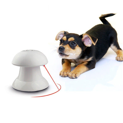 Orange tabby kitten playing with a white mushroom-shaped automatic laser cat toy, projecting a red laser dot. - Image 2