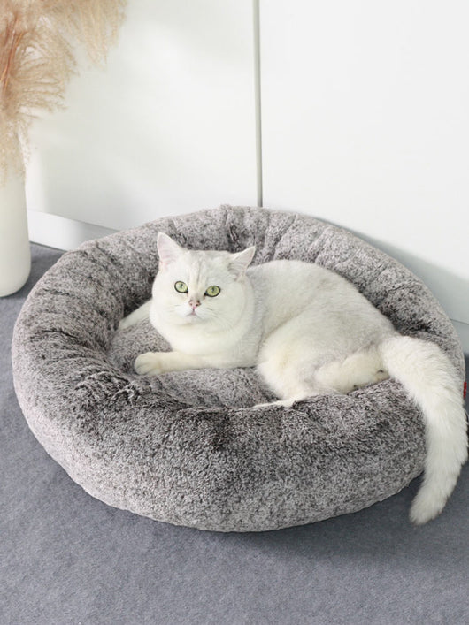 Arena para Gatos Aglomerante Premium - Comodidad Invernal