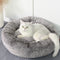 Arena para Gatos Aglomerante Premium - Comodidad Invernal