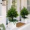 Jardín de Bonsái Decorativo con Plantas Artificiales