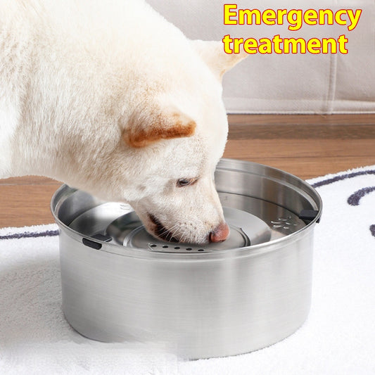 Bebedero de Gran Capacidad para Perros y Gatos