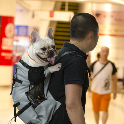 Mochila de Viaje y Compras para Exteriores - Image 7