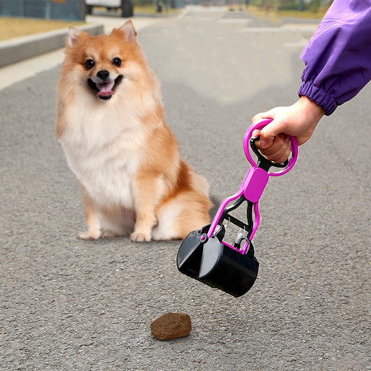Recogedor Automático de Heces para Mascotas