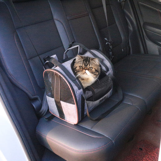 Transportín Plegable Multifuncional para Mascotas - Asiento de Auto para Perros y Gatos - Image 7