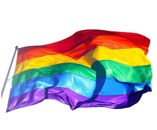Bandera Orgullo LGBT 90x150cm