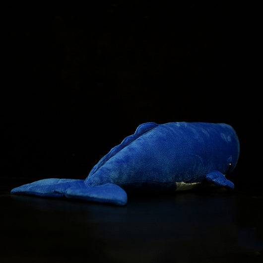 Peluche Ballena Cachalote Adorable - Image 4