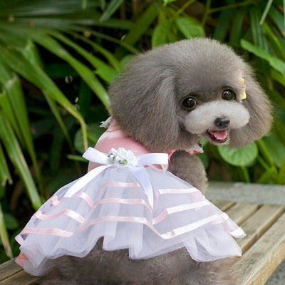 Vestido Princesa Ligero para Perros Pequeños - Colección Primavera Verano - Image 12