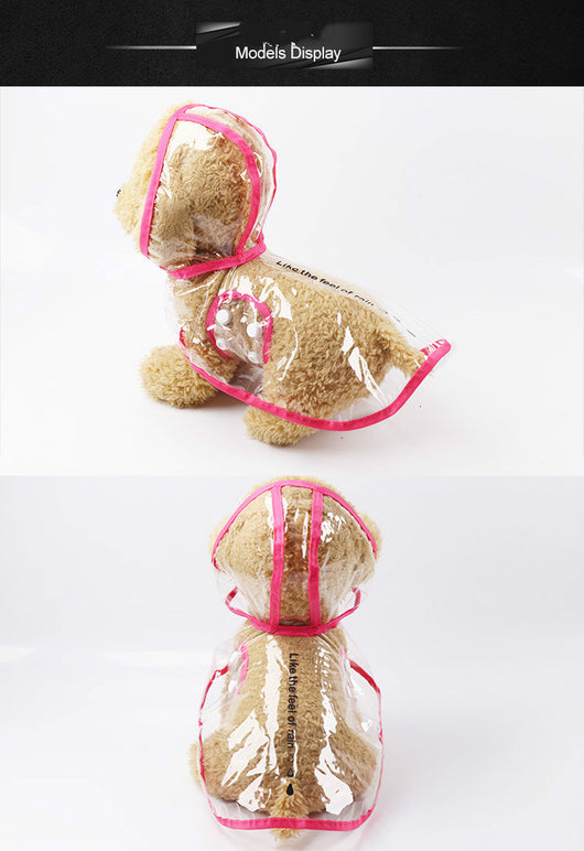 Impermeable Transparente para Mascotas - Image 3