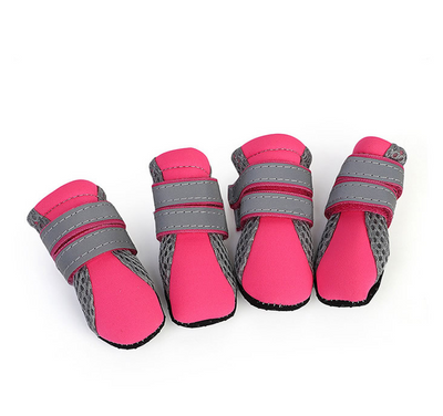 Zapatos para Caminar Perros - Image 13