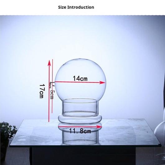 Cubierta Protectora Transparente para Bonsái y Paisajes en Miniatura - Image 3
