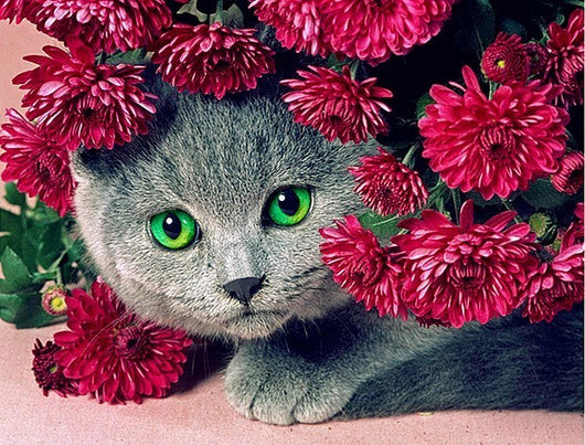 Pintura de Diamantes Gato - Bordado de Cristales Brillantes - Image 8