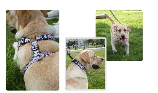 Chaleco Arnés Universal para Mascotas con Enganche Pectoral y Dorsal - Image 29