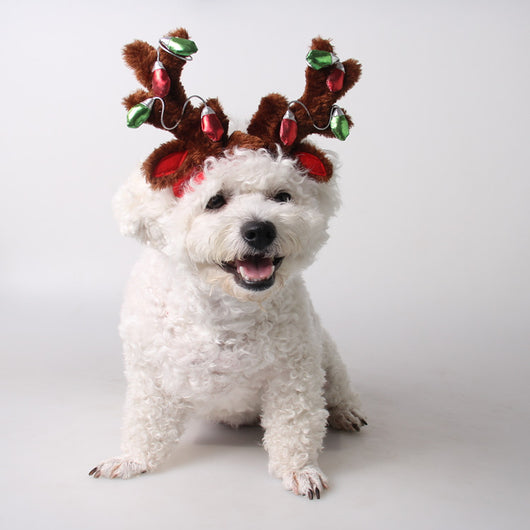 Sombreros y Adornos Navideños para Perros y Gatos - Image 4