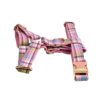 Collar y Correa de Tracción para Perros Qicaigei - Image 18