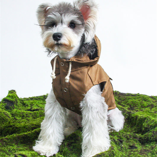 Cortaviento Impermeable para Mascotas - Image 9