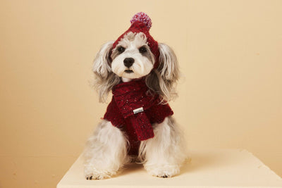 Gorro y Bufanda de Lana para Mascotas - Conjunto Abrigador para Perros - Image 7