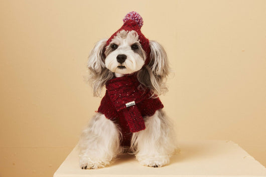 Gorro y Bufanda de Lana para Mascotas - Conjunto Abrigador para Perros - Image 7