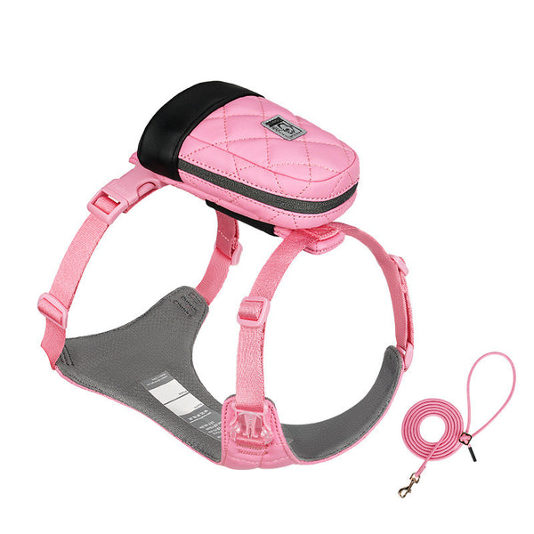 Arnés Pectoral con Cuerda para Perros Pequeños - Teddy y Corgi - Image 7