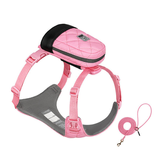 Arnés Pectoral con Cuerda para Perros Pequeños - Teddy y Corgi - Image 7