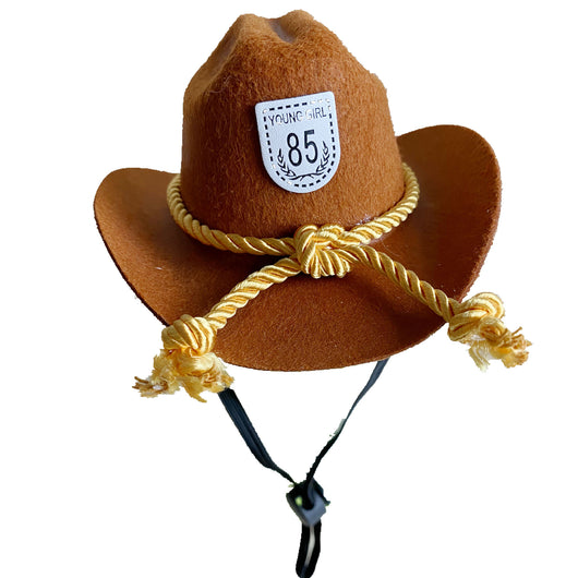 Sombrero Vaquero Británico XINGX para Gatos - Image 10