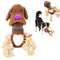 Juguete Interactivo para Perros con Sonido y Papel Crujiente - Resistente a Mordidas